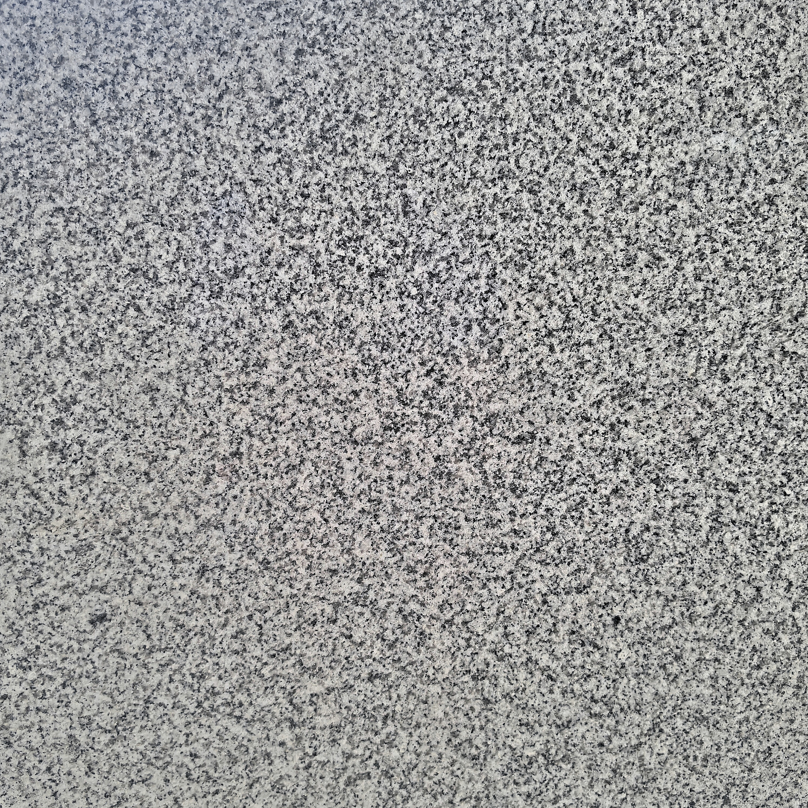 603 Sesame White stone texture