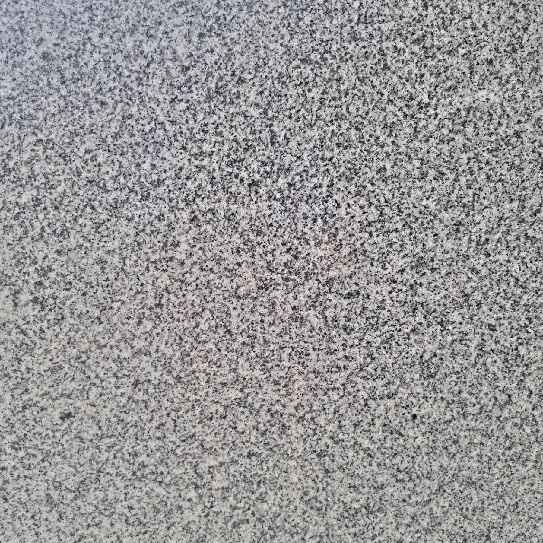 603 Sesame White application example 2